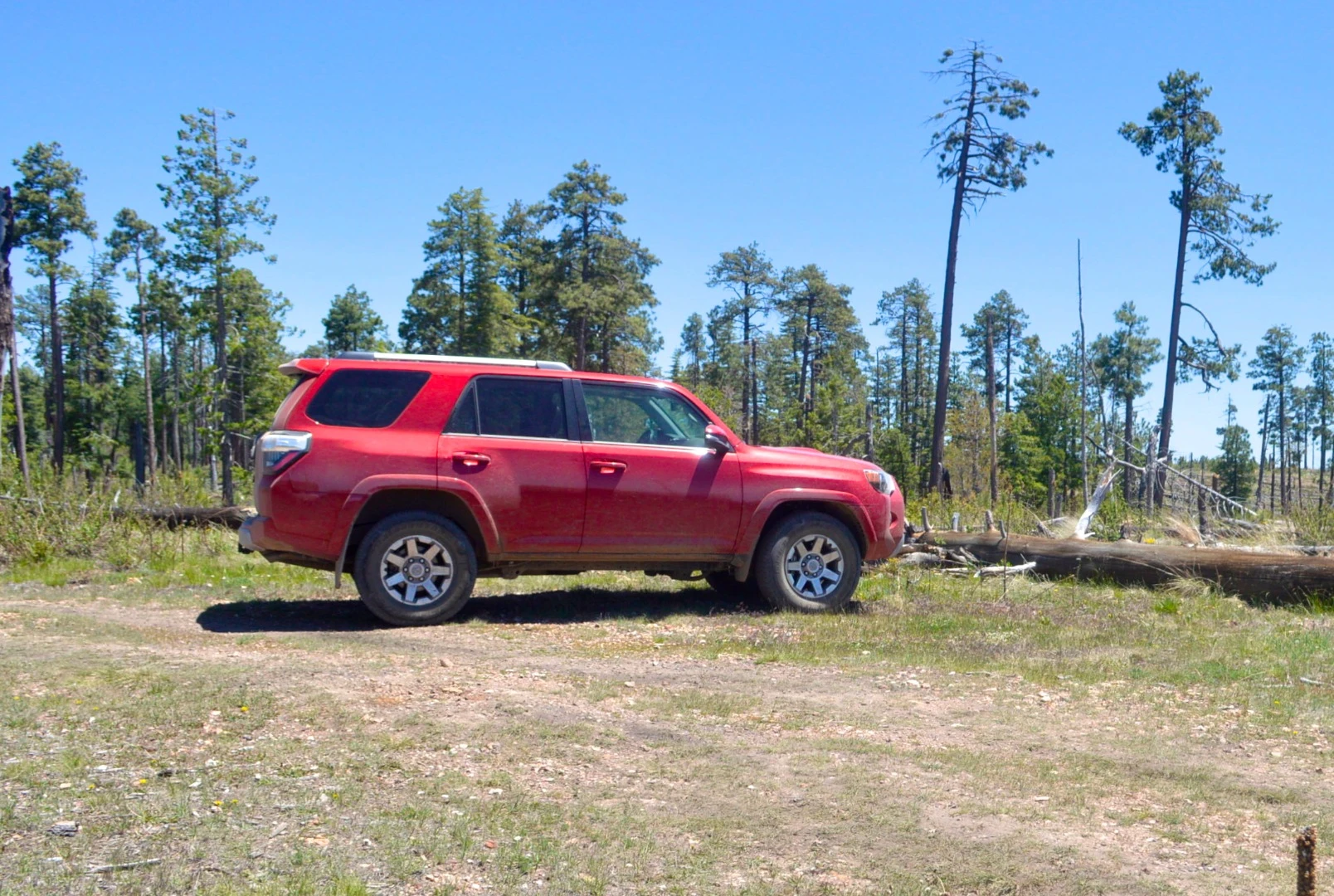 Off road through national forest
