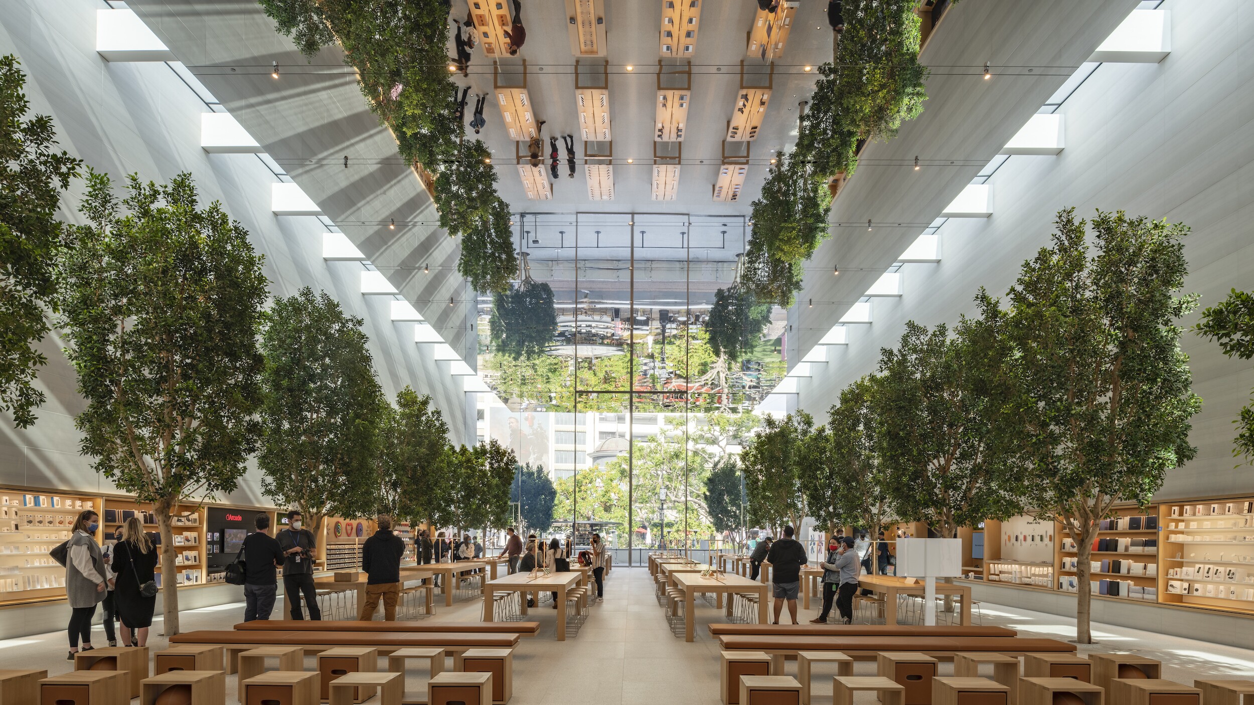 LA Apple Store brings the outdoors inside with treelined retail space