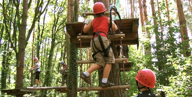 Climb Up operates three forest adventure parks and is looking to add an all-new mountain park