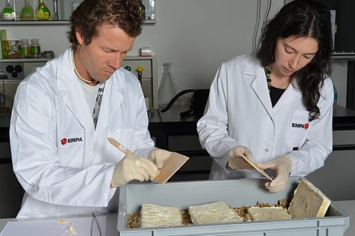 Scientists are developing a method of treating wood with fungus, so that violin-makers could use it to build Stradivarius-quality instruments