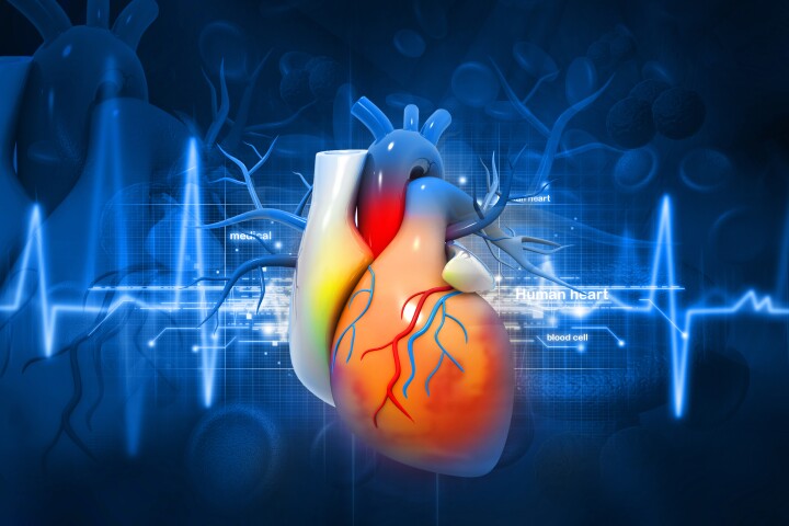 A blood test for myocarditis could be available within a year or two if further investigations are successful