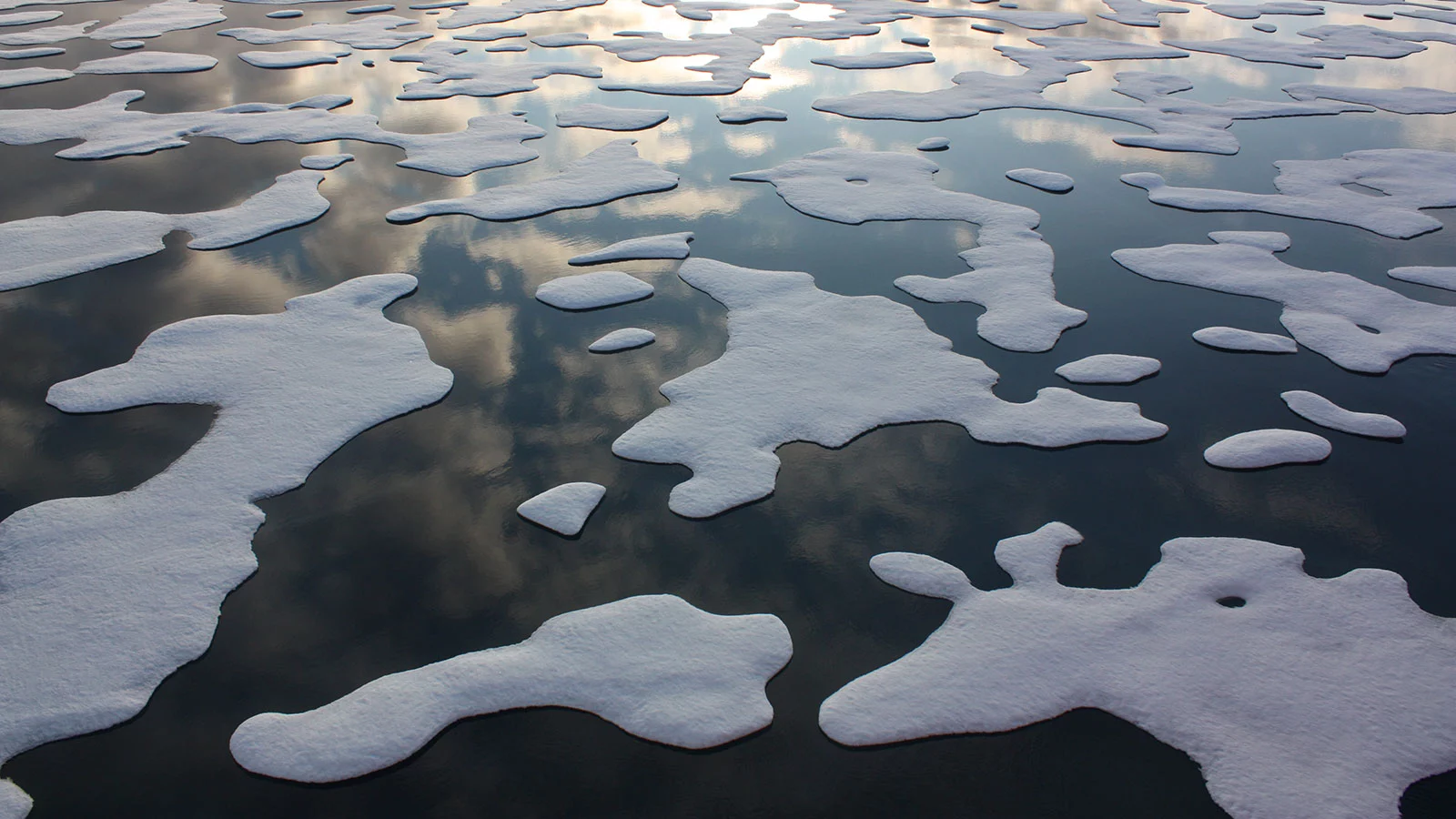 Sea ice coverage in the Arctic has declined significantly over the last few decades