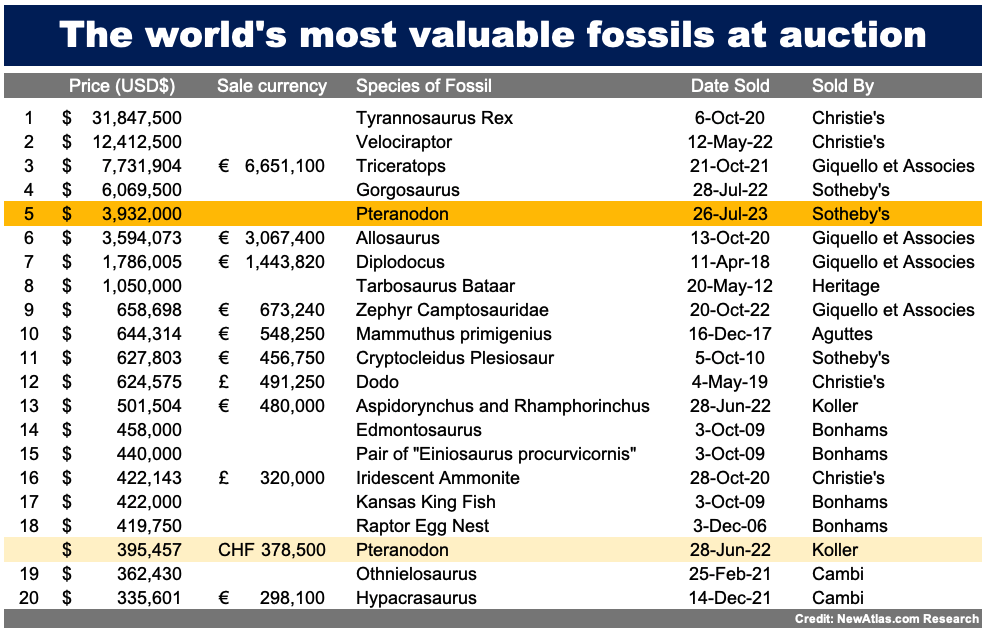 Our listing of the world's most valuable fossils by species almost had two major revisions during Sotheby's today, with a Plesiosaurus bid to $550,000 but failing to meet the reserve price and hence being passed in. With buyers premium that would have been a world record for the species if it had been accepted. The highest bidder usually gets an opportunity to negotiate and given the Zone of Potential Agreement was relatively narrow, a sale may yet be announced. The Pteranodon's previous position and new position in the grand scheme of fossils (though it is primarily a list of scary critters) are noted in orange. Links to prior auctions can be found in the captions in the image gallery for this article.