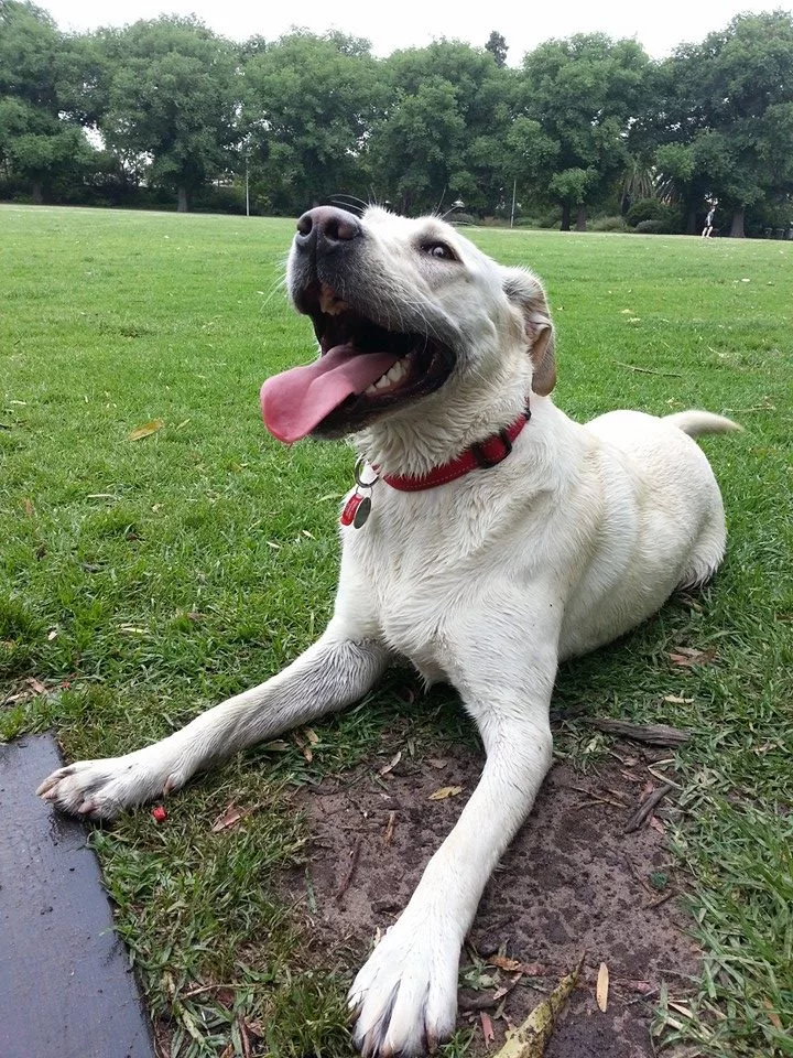 Eva in aquatic mode at the park