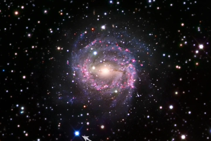 Supernova SN 2017cbv is located in the galaxy NGC 5643, about 55 million light years away, making it one of the closest supernovae recently discovered