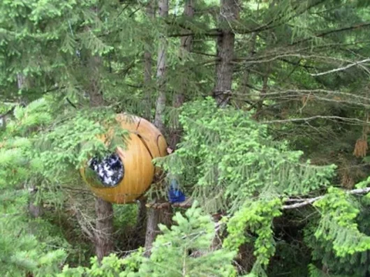 Eve, the 2.7 metre prototype