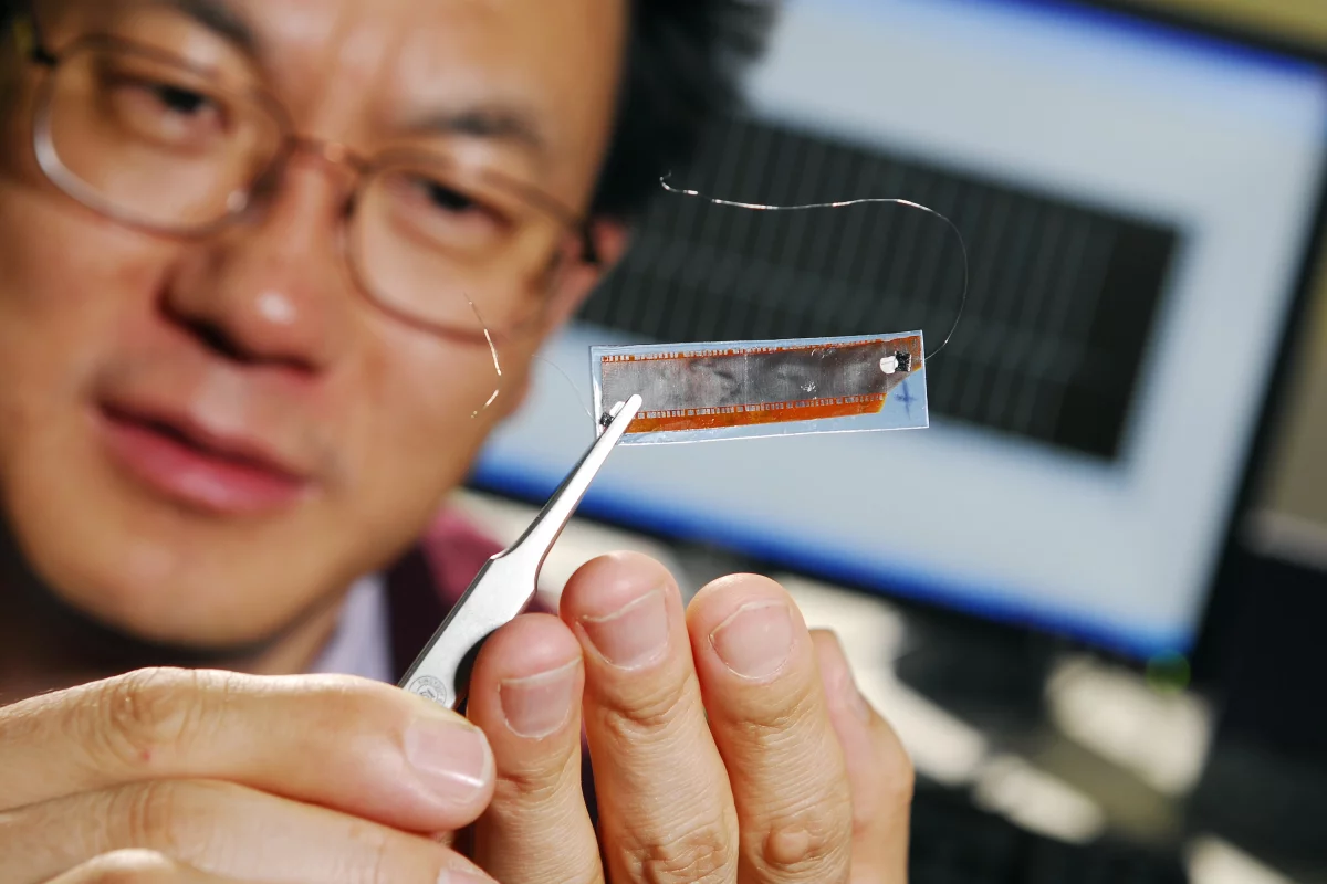 Georgia Tech professor Zhong Lin Wang holds an improved nanogenerator containing 700 rows of nanowire arrays (Photo: Gary Meek)