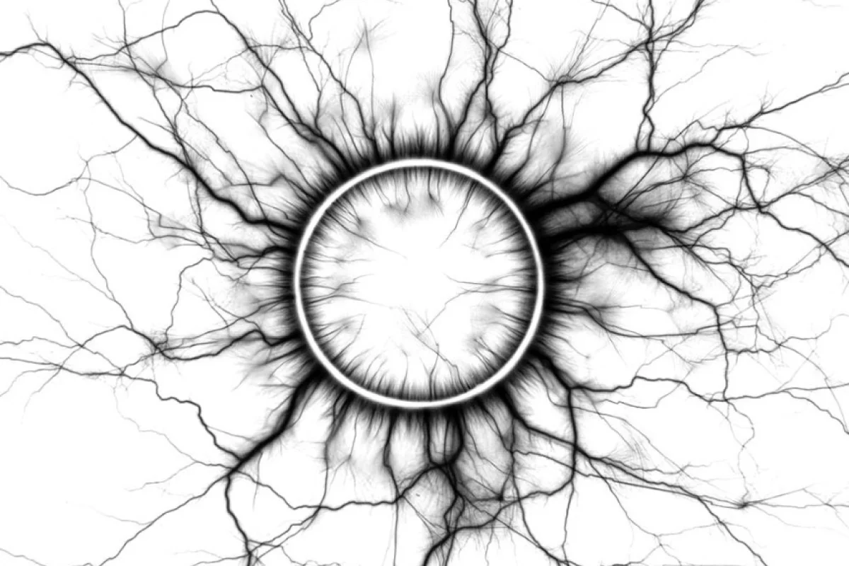 The Gold spark captured by artist and jewelry designer Sean O'Connell