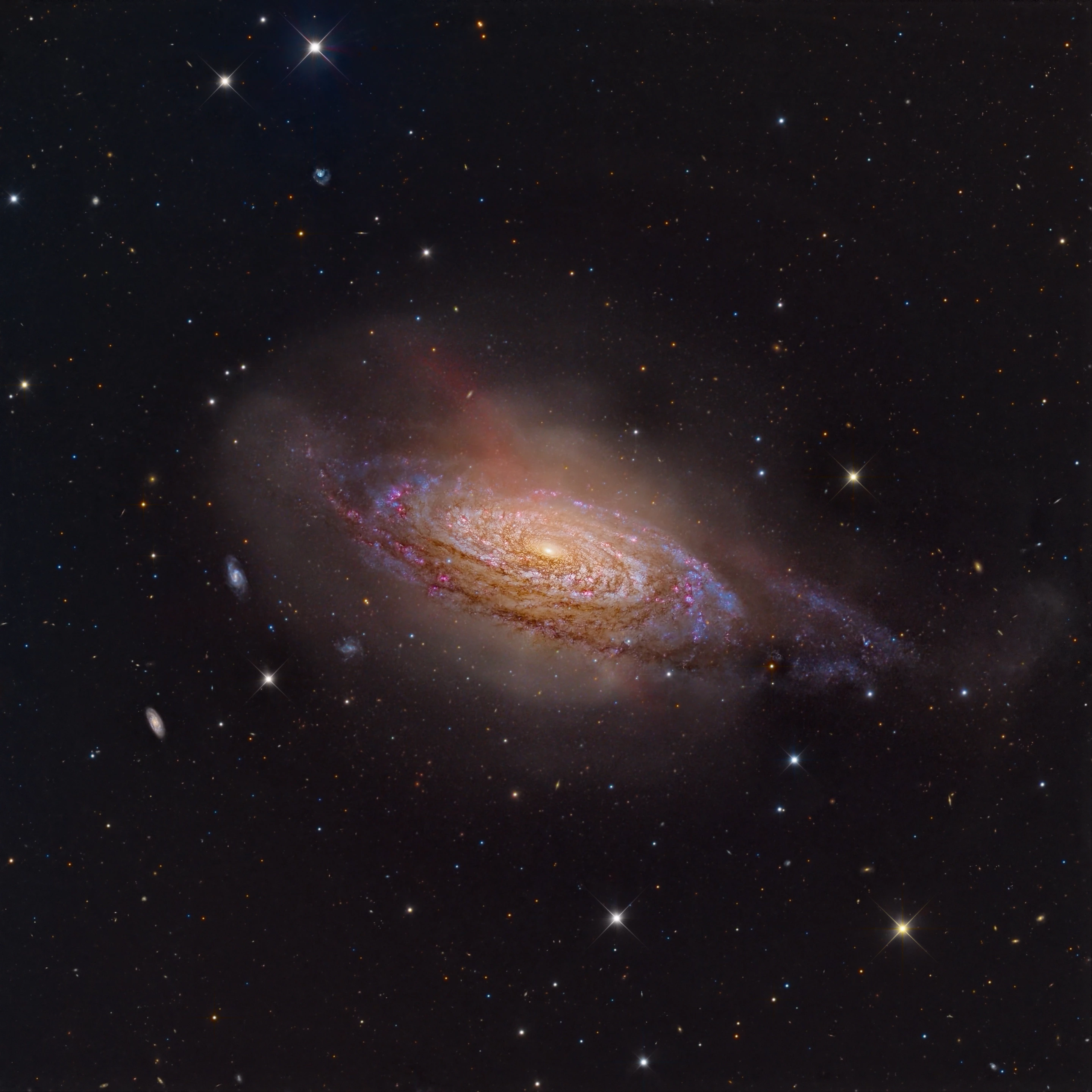 NGC 3521: Marquise in the Sky by Mark Hanson and Mike Selby, taken in Río Hurtado, Chile. Shortlisted in the Galaxies category