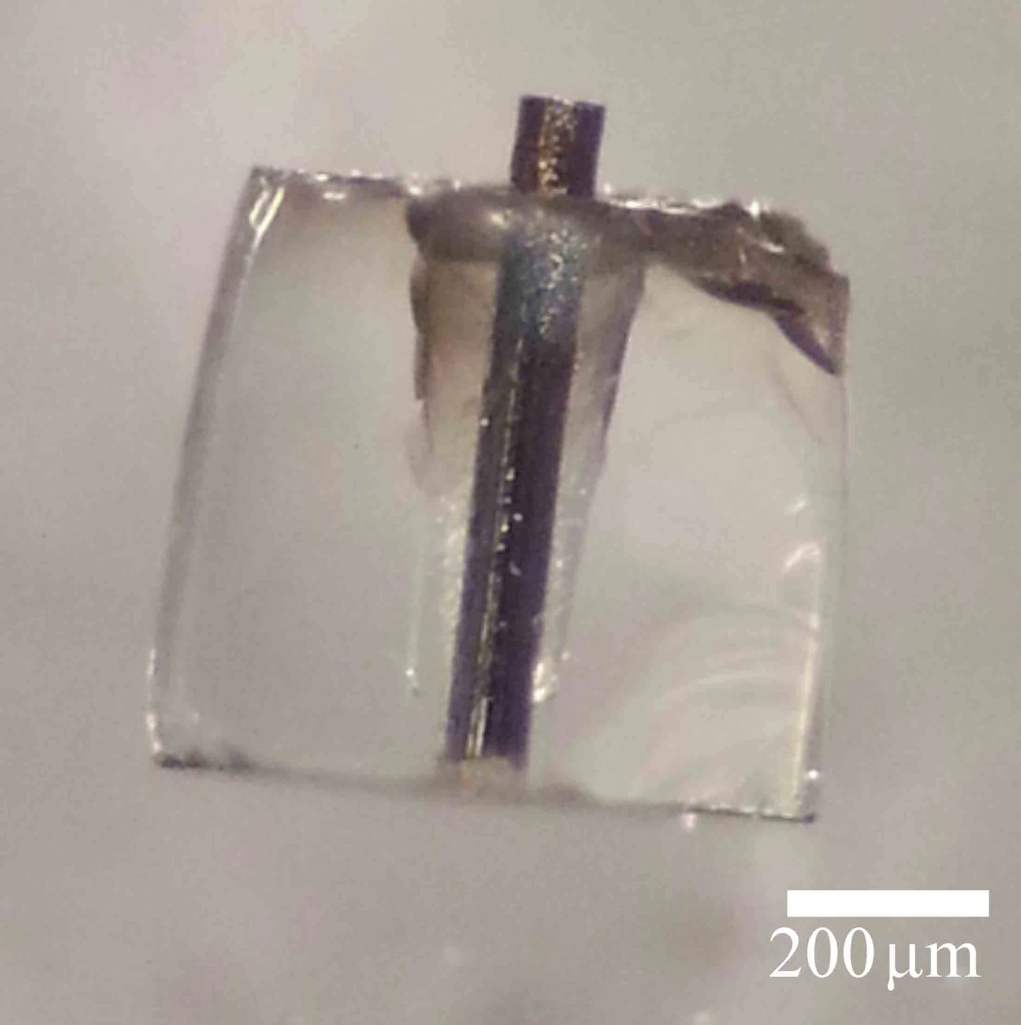 Silicon fiber coated in glass (Photo: Fredrik A. Martinsen)