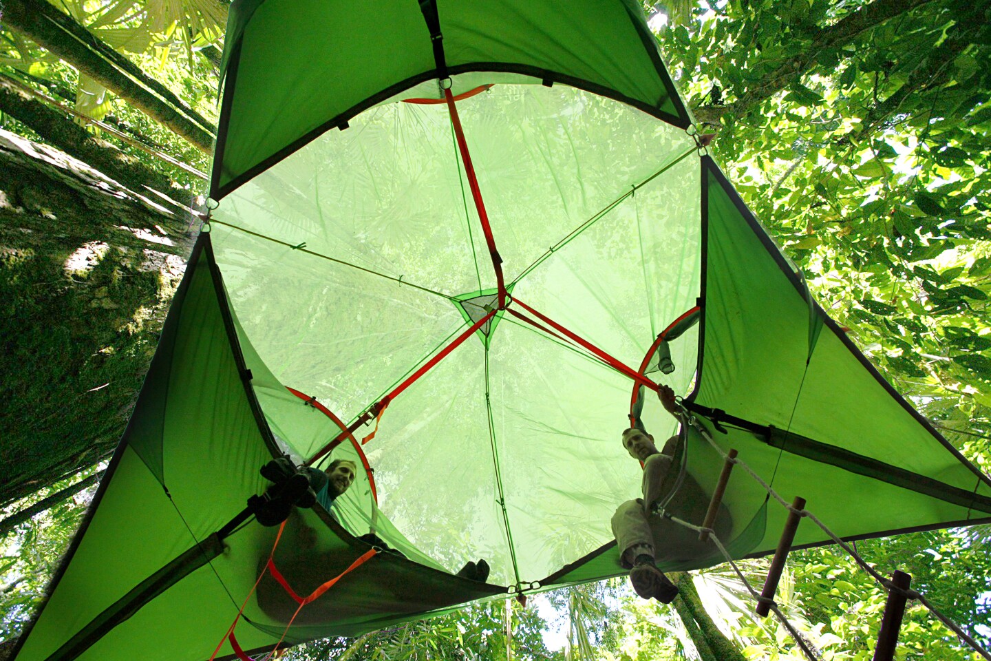 Tentsile unveils its smallest, lightest, and most affordable tree tent to date