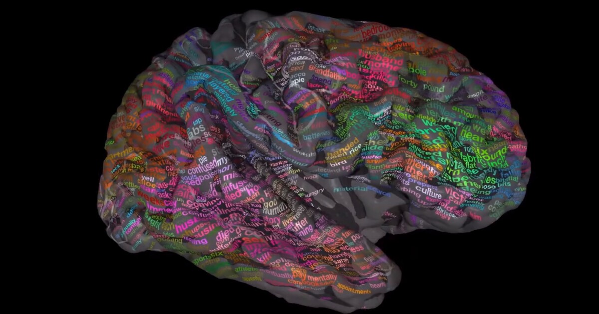 Mapping the thesaurus of the human brain