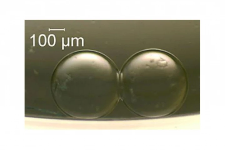 Two artificial cells that can act as a tiny battery(Credit: NIST)
