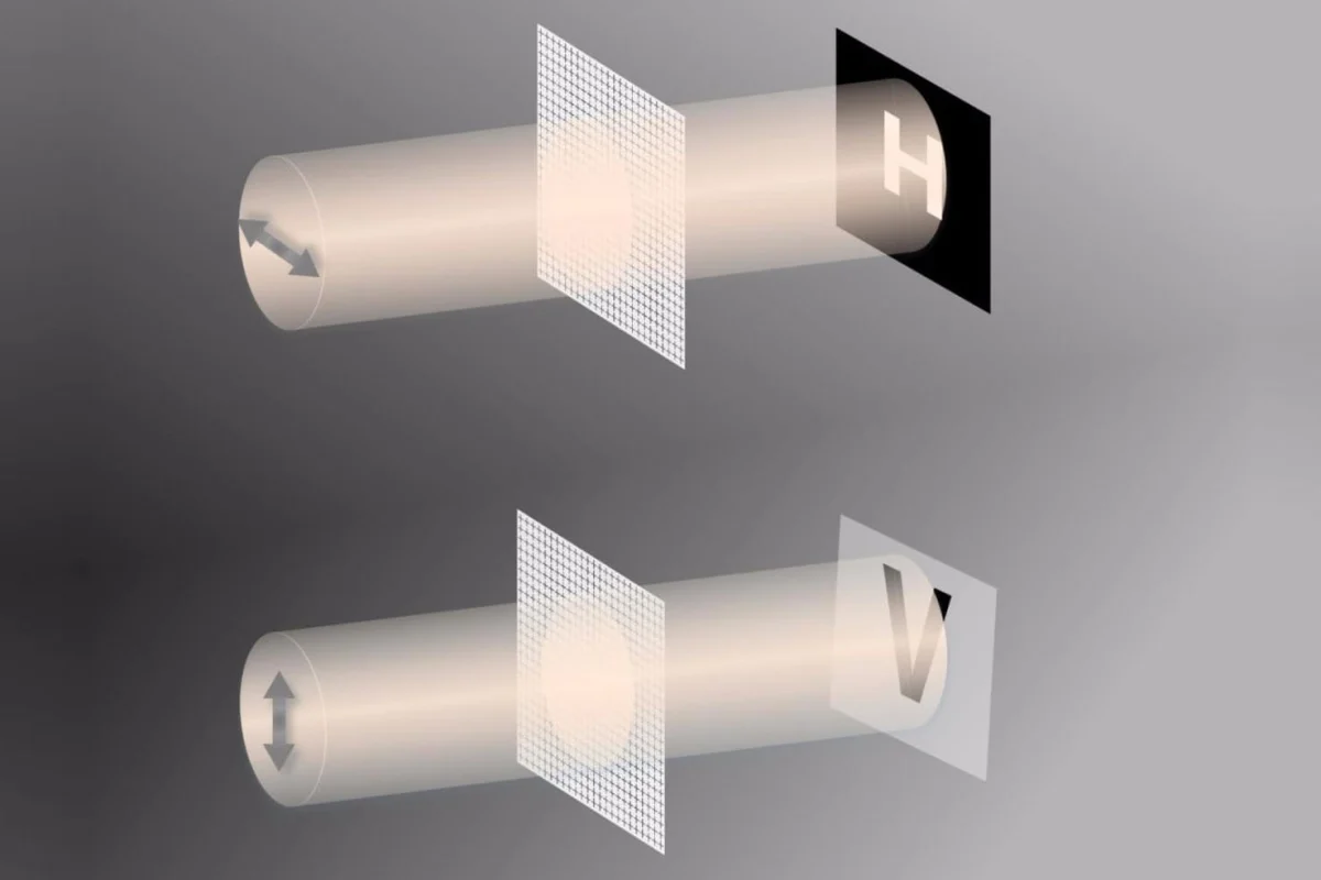 Hidden images (H) are only visible (V) when viewed under the correct polarization and terahertz frequency