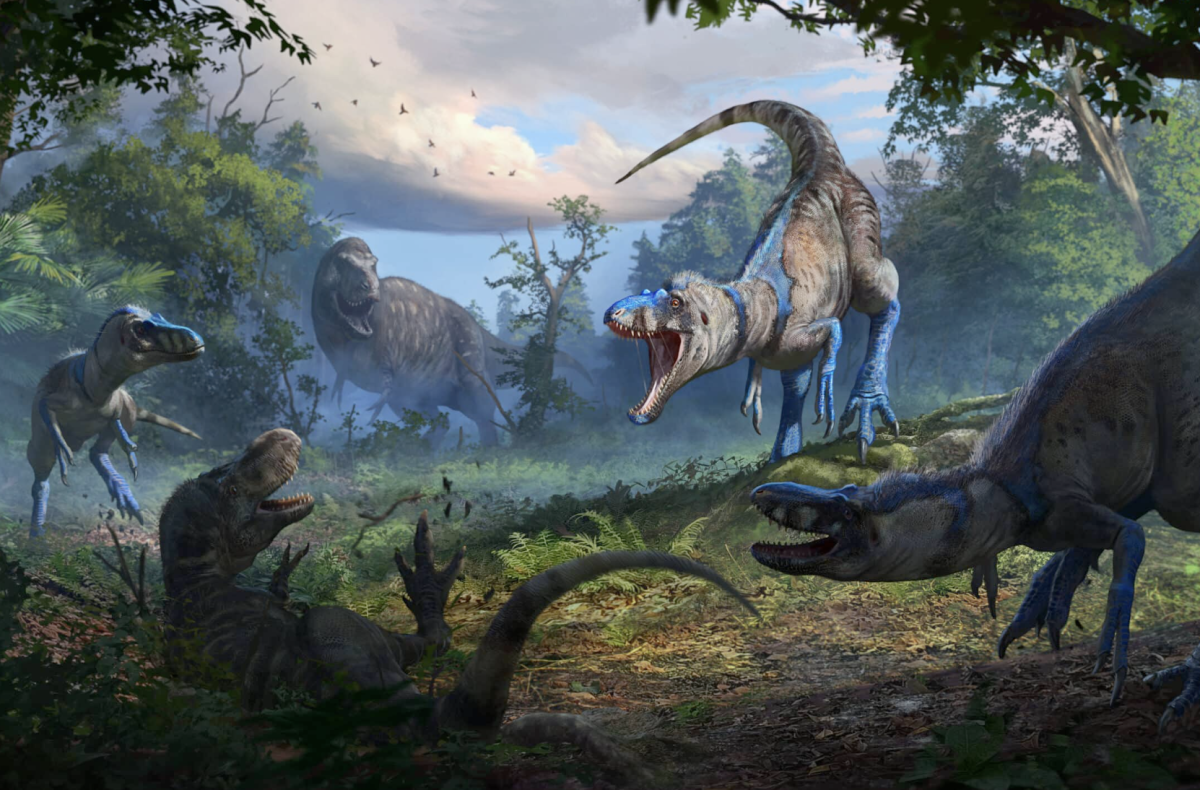 Case of mistaken identity rewrites T. rex – and dinosaur predator – history