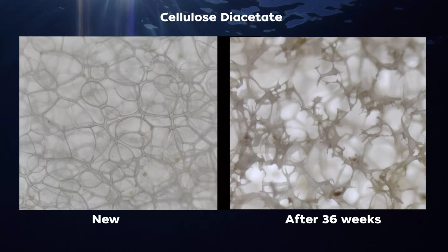 The structure of foam CDA before and after the 36-week seawater test