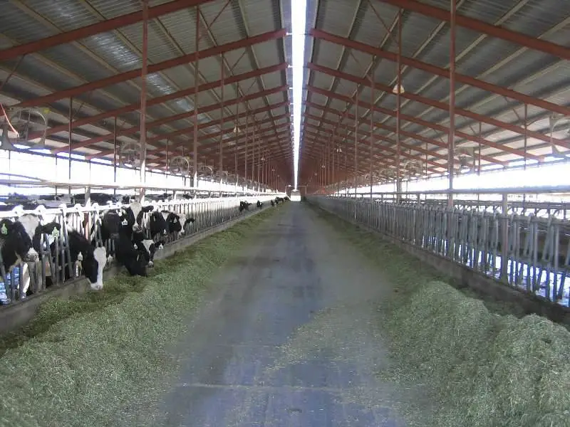 Anaerobic digesters operate best at confined feeding operations