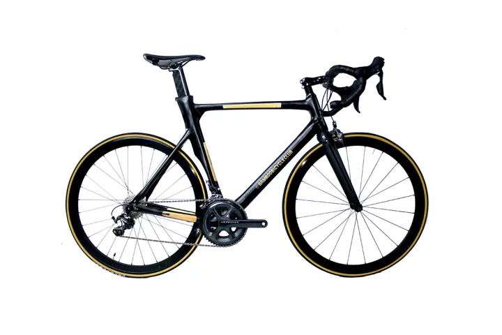 The Aero Bamboo Bike looks more as if it's made from carbon fiber