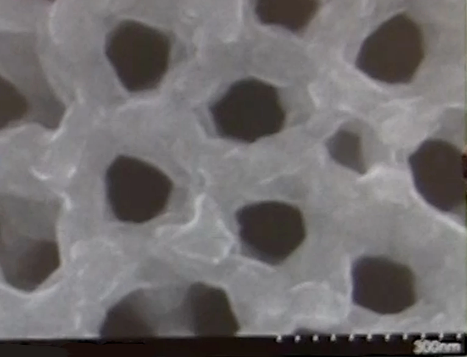 A top view of the nanopores, each of which is a separate battery in its own right