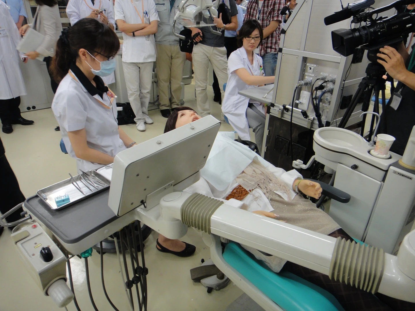Robotic dental patient Showa Hanako 2 (Photo: DigInfo)