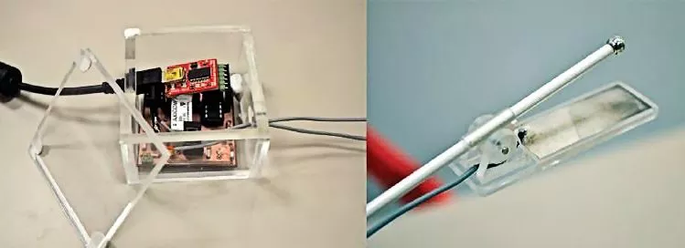 The Digital Lollypop for producing electrical-only stimulation of the tongue (Photo: National University of Singapore)
