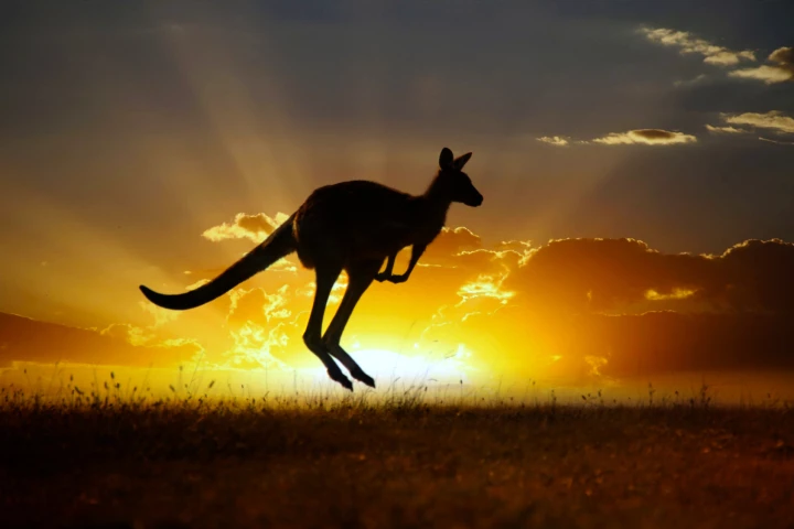 Australia is one of the sunniest continents on Earth, which a local startup hopes to use to power large-scale carbon capture technologies