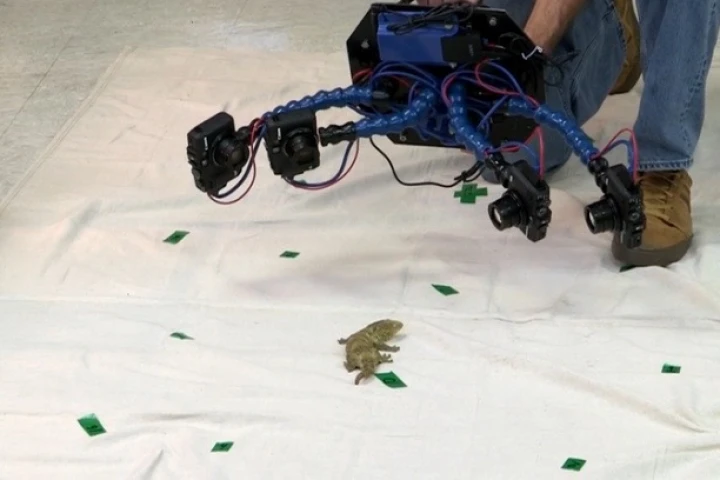 Beastcam is used on a gecko in Duncan Irschick's lab