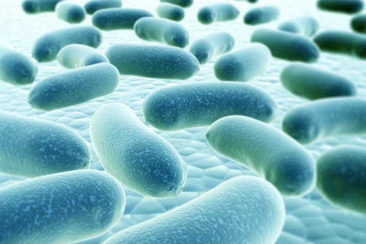 Researchers have developed a new weapon against antibiotic-resistant bacteria, where light is used to produce reactive oxygen species that can kill superbugs