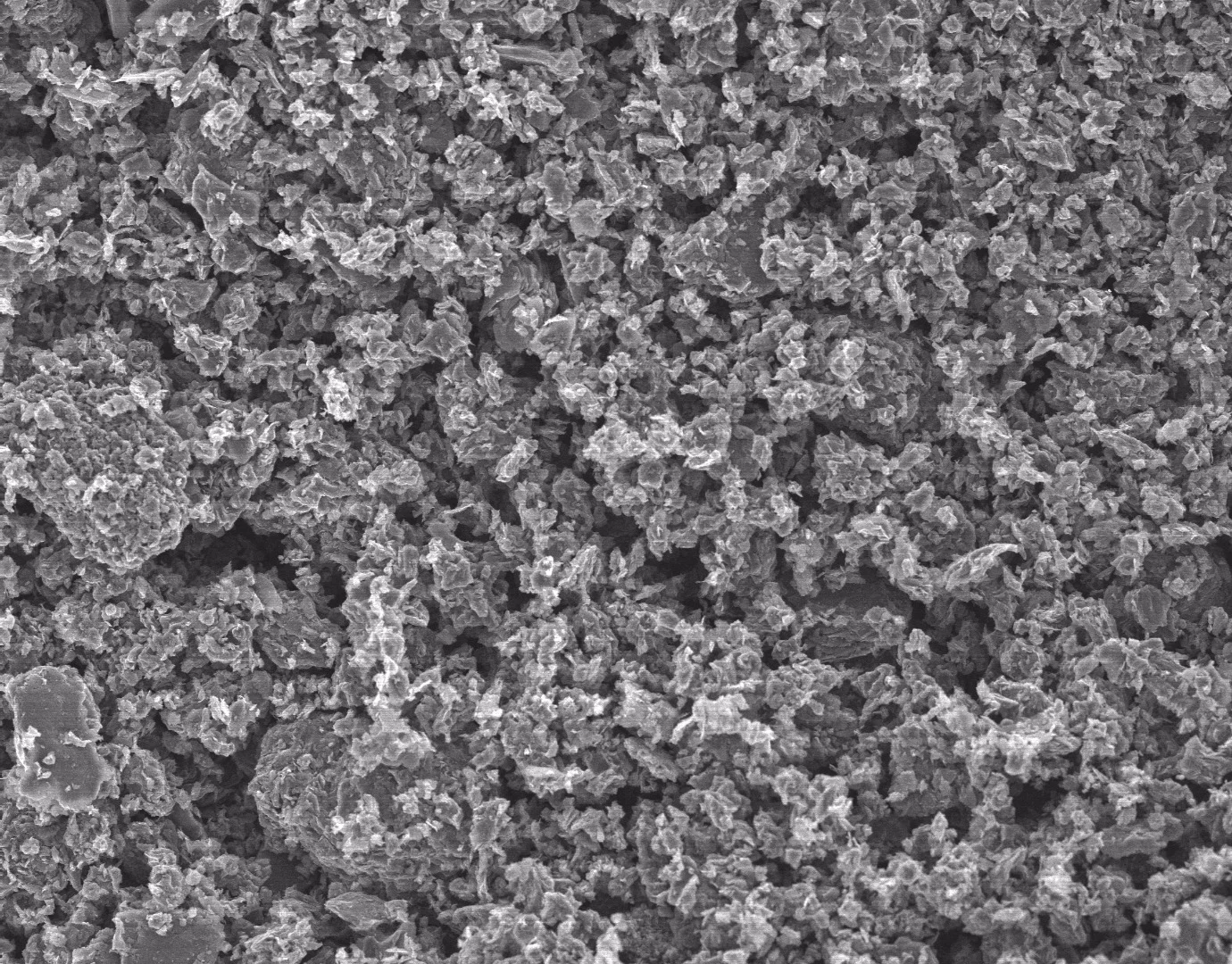 C-seal F carbon, magnified 200 times