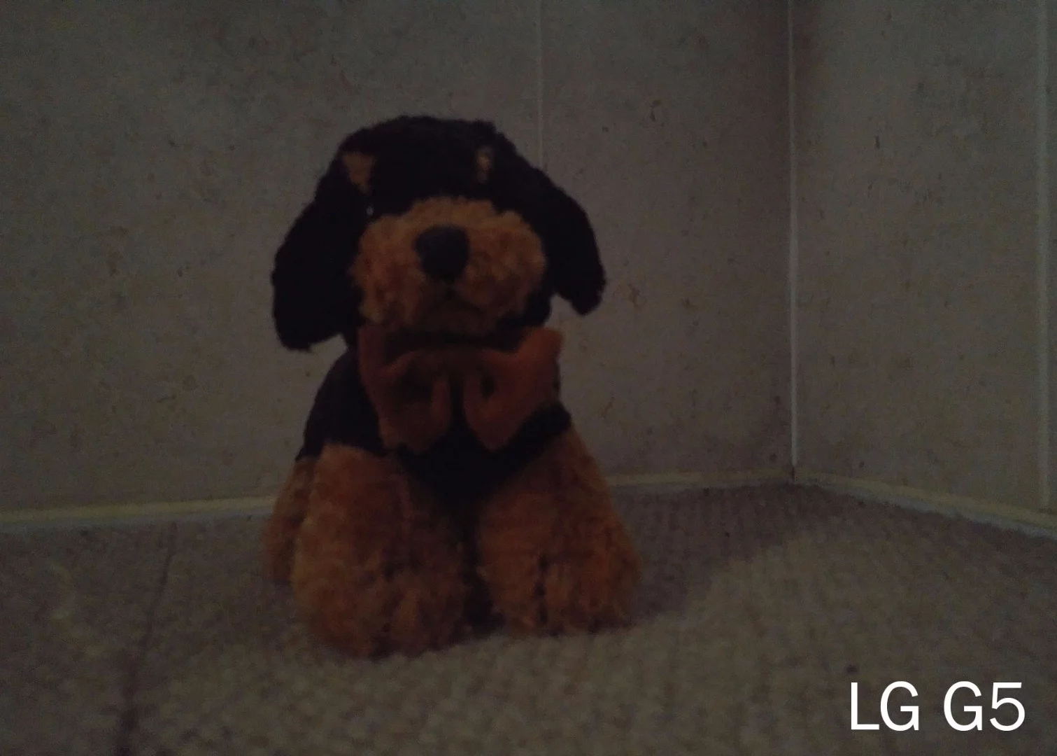 The LG G5 got more color from the shot but detail wasn't the best