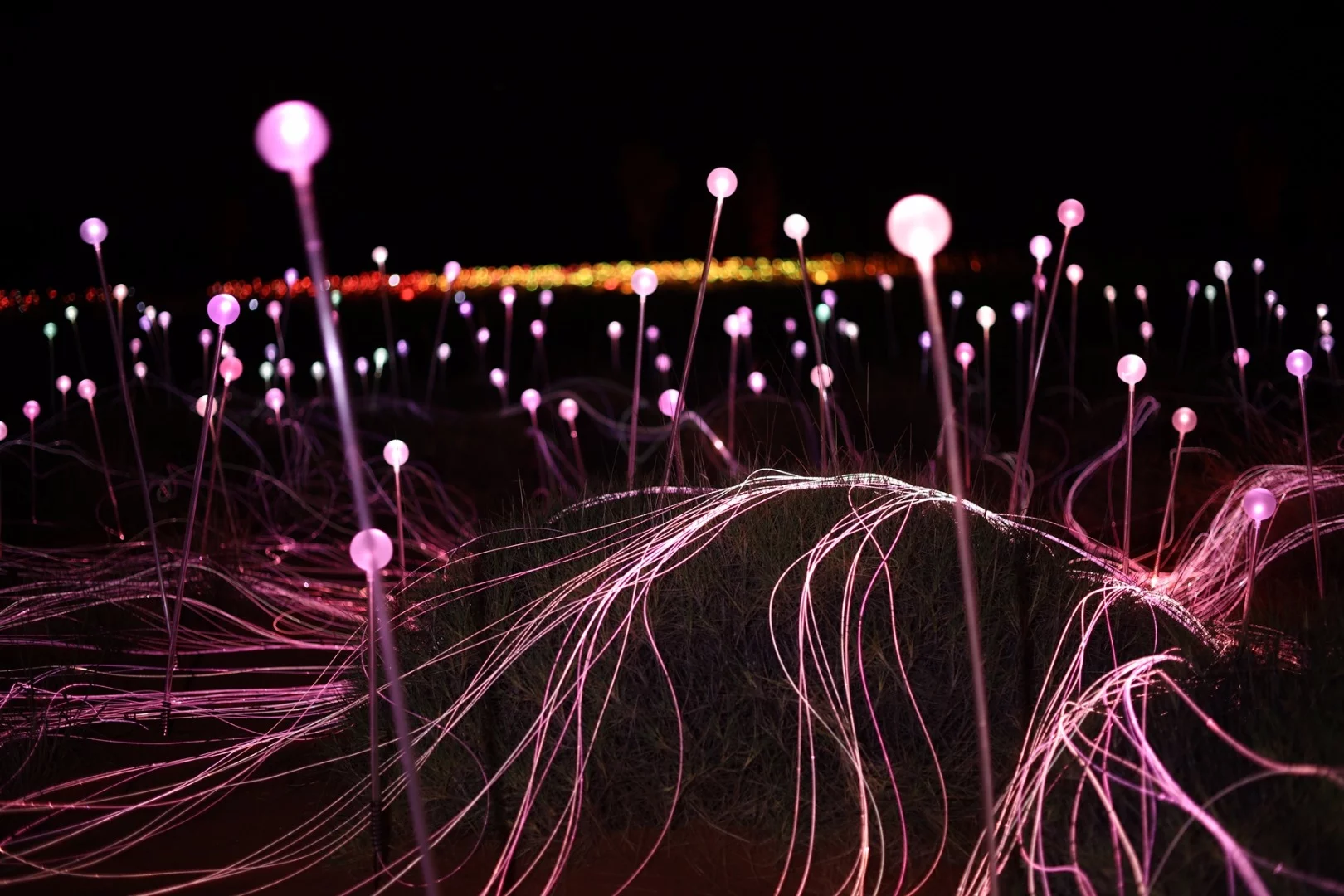 Field of Light's spheres, stems and cables are illuminated in a host of different colors