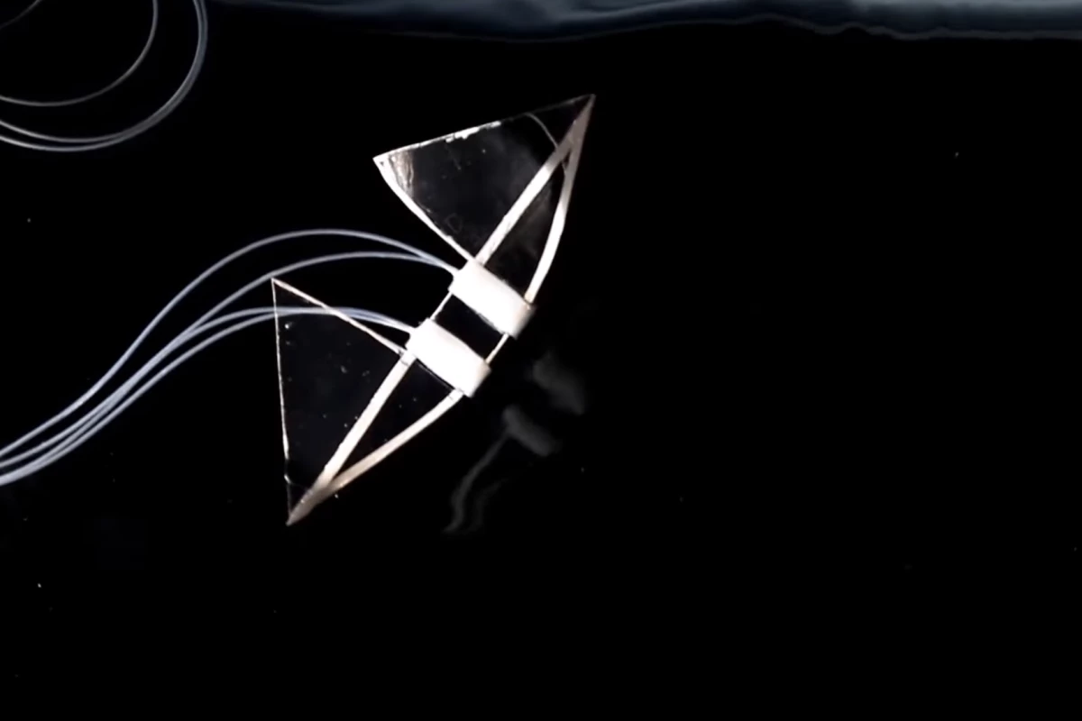 A soft robot that mimics butterfly stroke in humans can swim with unparalleled speed