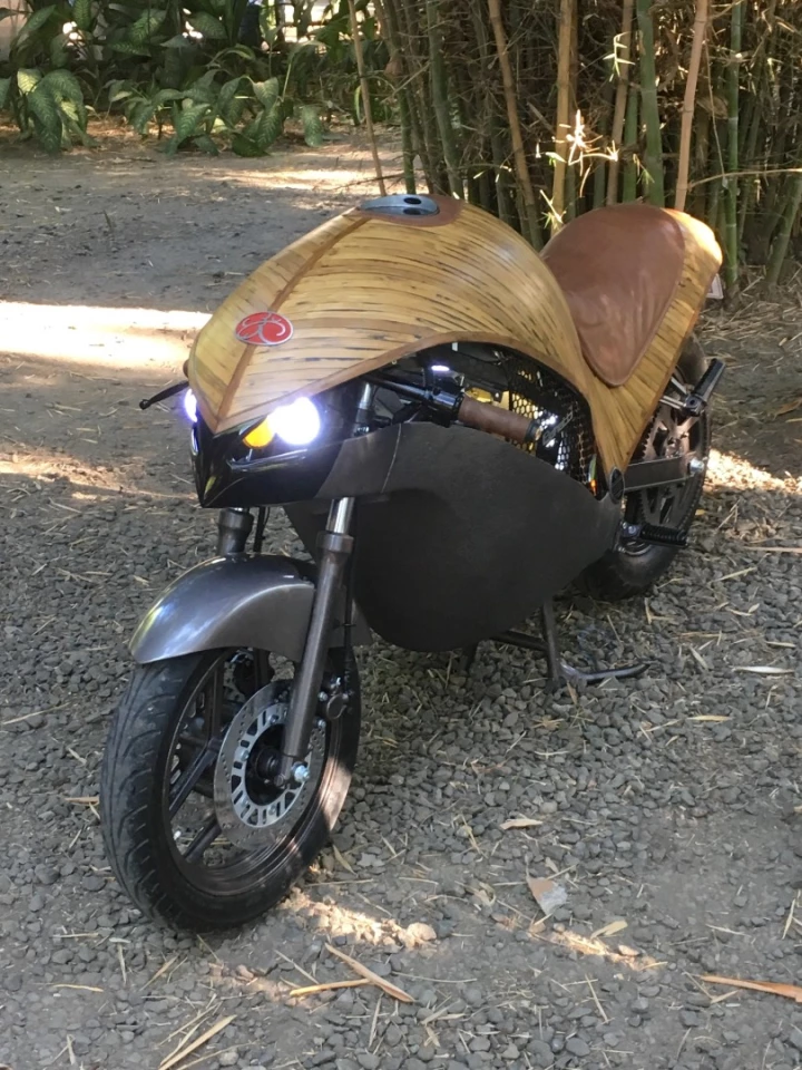 Banatti Green Falcon: quite a unique look