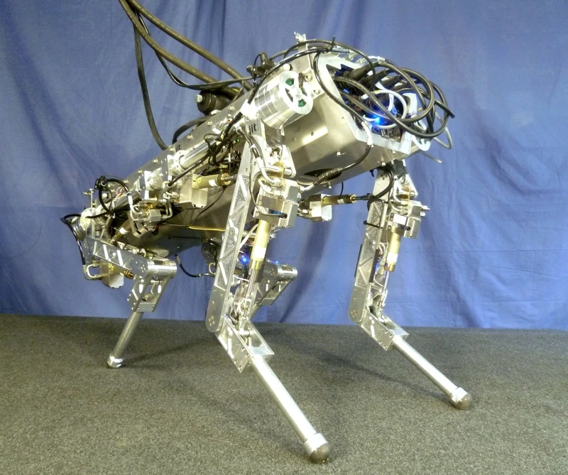 The HyQ robot has compliant legs which are able to absorb some impact forces