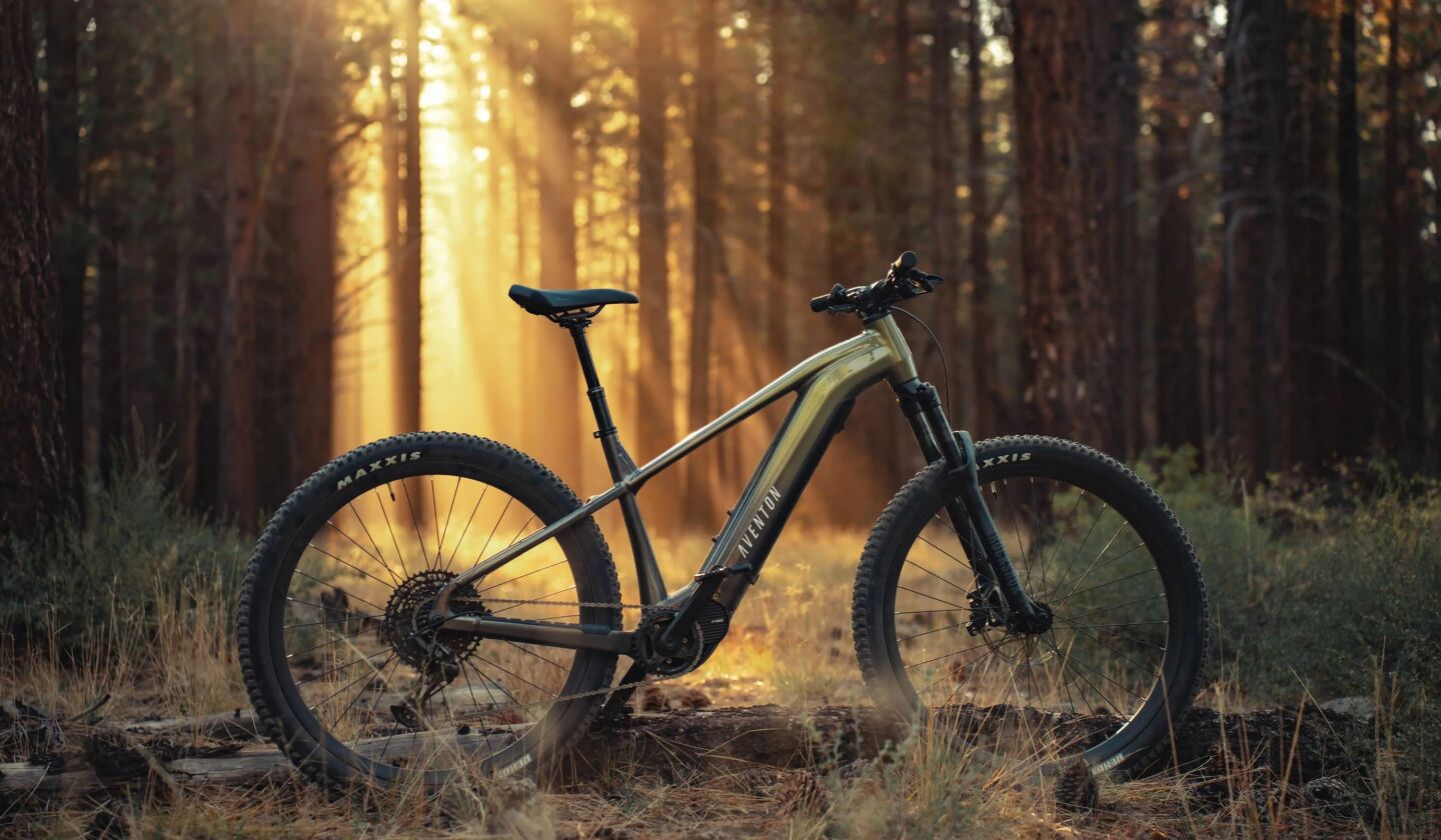 Torquey middrive electric mountain bike designed to conquer hills