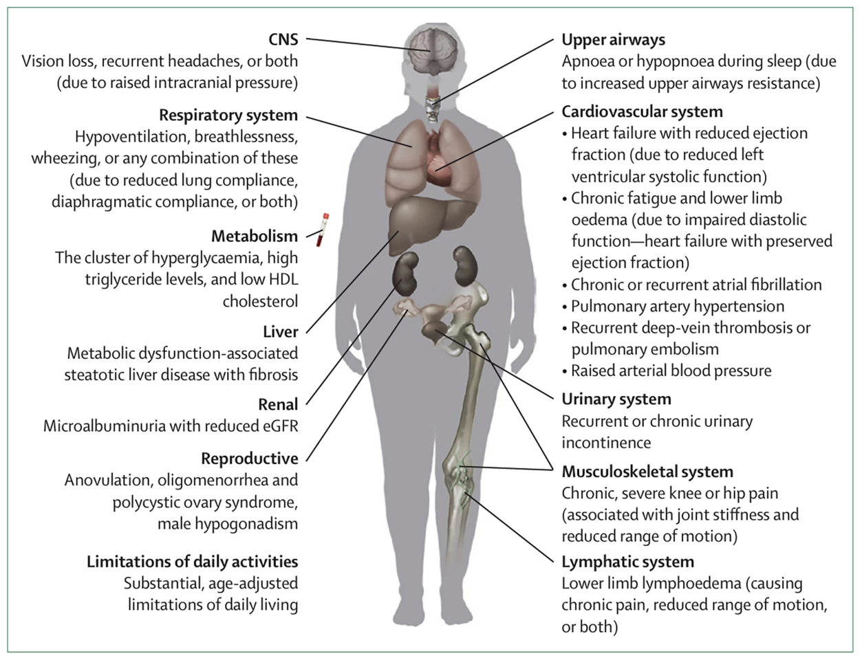 The diagnostic criteria for clinical obesity in adults