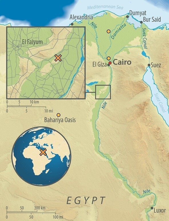 The area in Middle Egypt the researchers found their samples