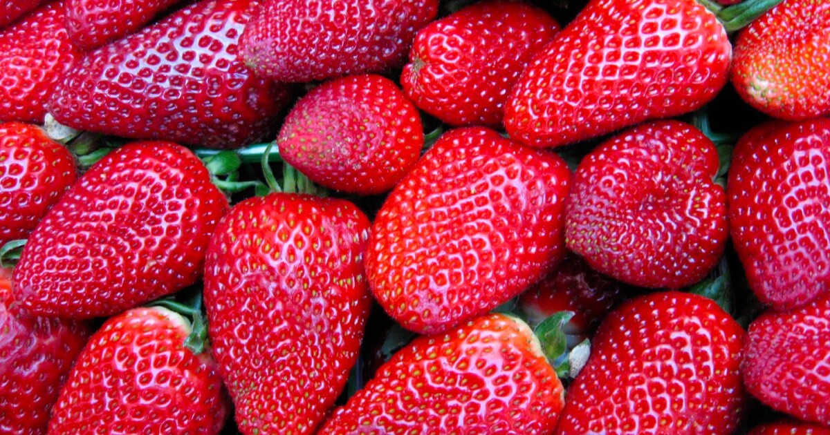 Silk coating makes for fresher fruit