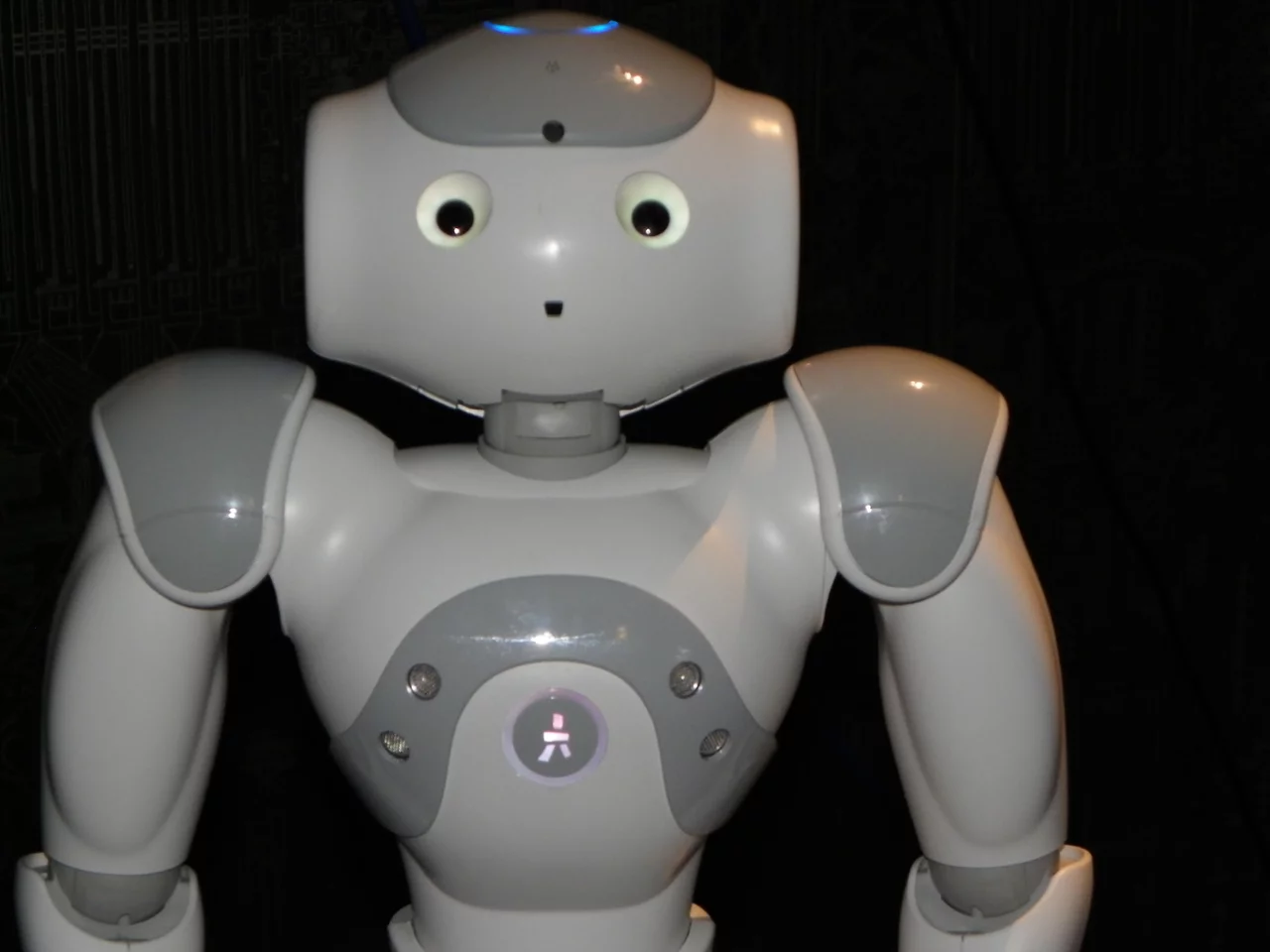 Nao, the versatile fool (Photo: Gizmag)