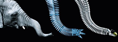 Bionic Handling Assistant is inspired by the elephants trunk (Image: Festo)
