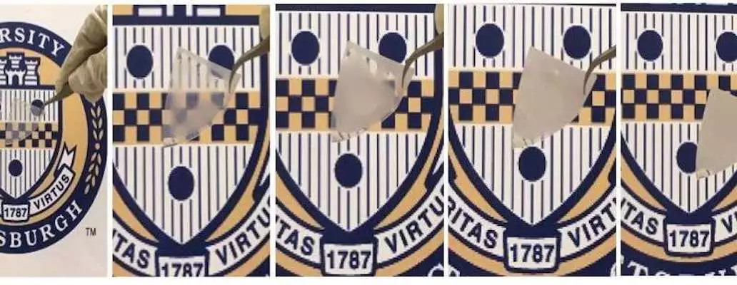 Thanks to its nanoscale "grassy" structure, a new kind of glass can switch between clear and cloudy in seconds just by adding or removing water