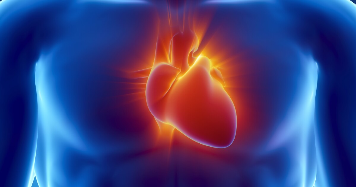 Protein injection gets heart scar tissue working again Protein injection gets heart scar tissue working again