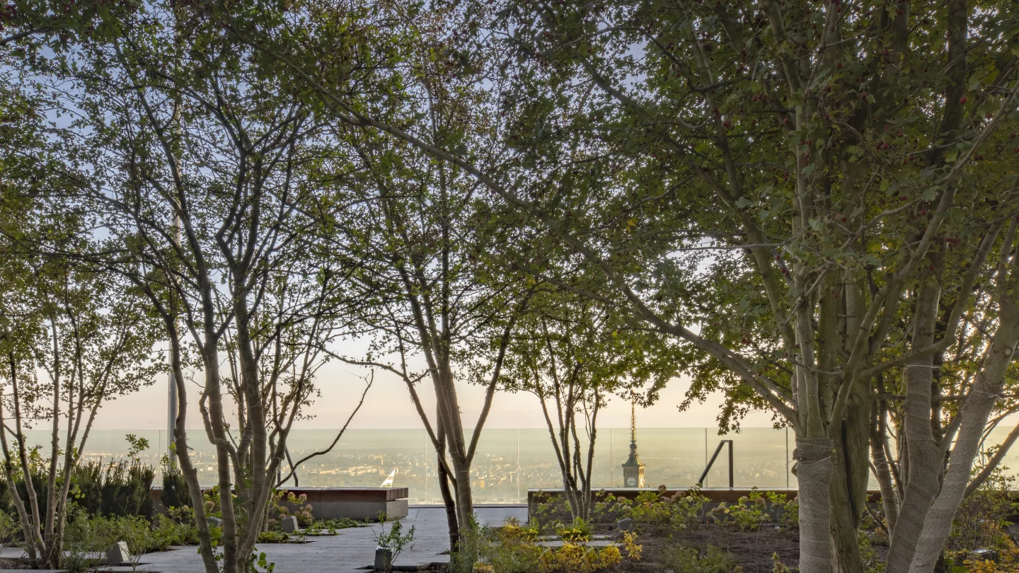 Varso Tower's 49th floor features a landscaped terrace area with a bar that contains trees and greenery, breaking the record for Warsaw’s highest garden