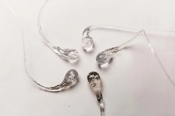 Prince Rupert’s drops, glass structures resembling tadpoles, can withstand the blows of a hammer and yet burst into powdery dust when their threadlike tails are snipped