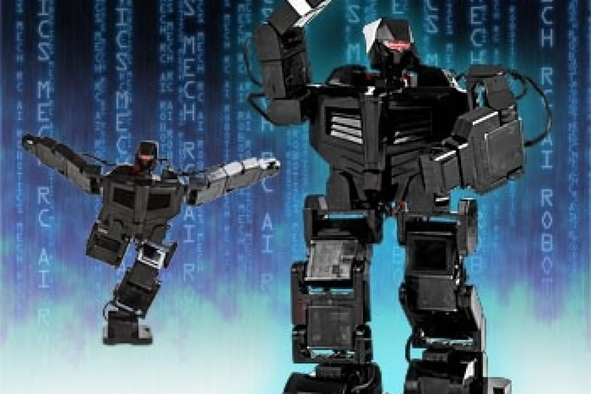 The MechRC has 17 independently controllable servos.