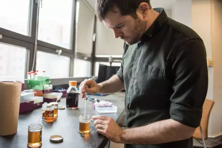 The study's first author Simon Forest, utilizing the gold nanoparticle reagent to analyze syrup samples – the solution could conceivably be adapted for use with products such as fruit juice or wine