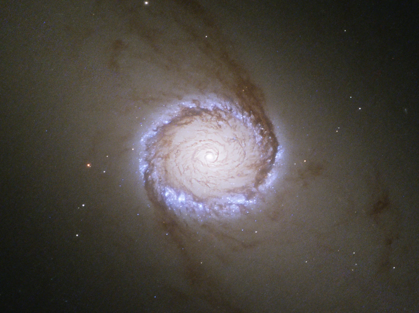 The center of NGC 1512 with some rather heavy processing to bring out the faint inner dust spiral