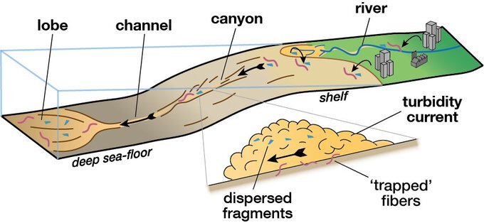 Underwater Avalanches Drive Microplastic Waste Into The Deep Ocean