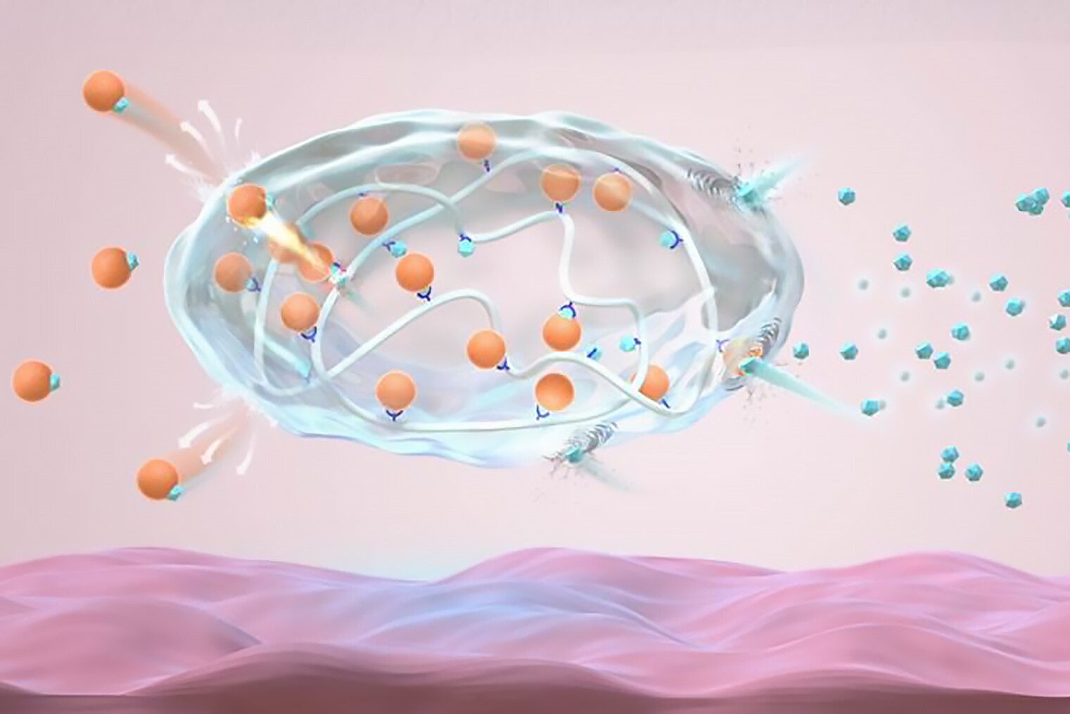 Schematic of the novel long-acting insulin complex (orange) responding to blood glucose (blue)
