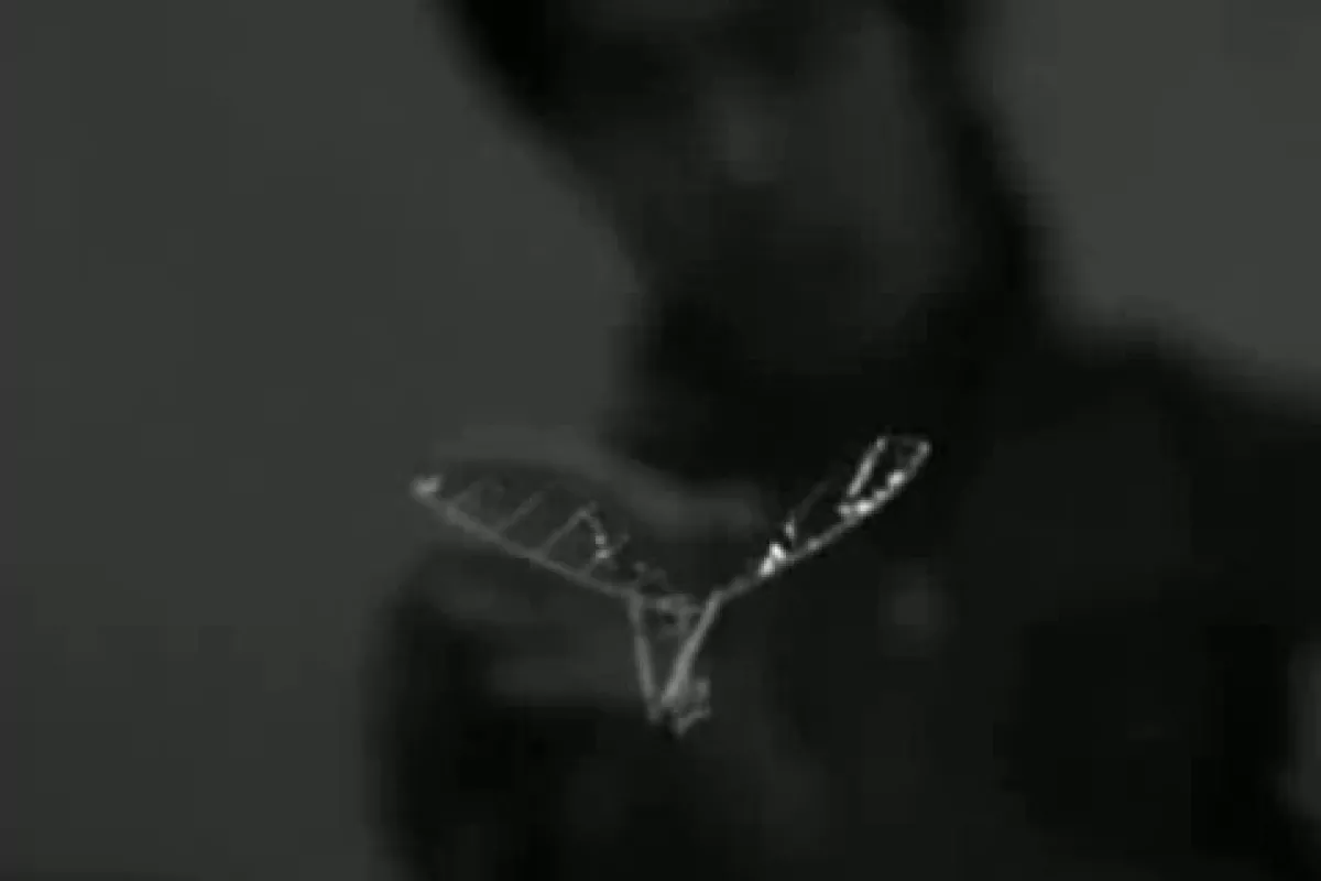 A still from the just-released video of the ornithopter in action